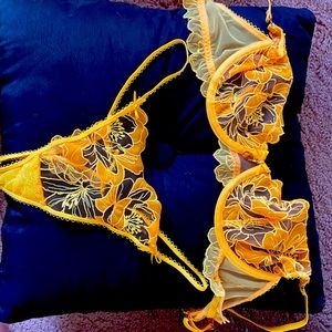 Brand new but no tags honey birdette bra and thong set